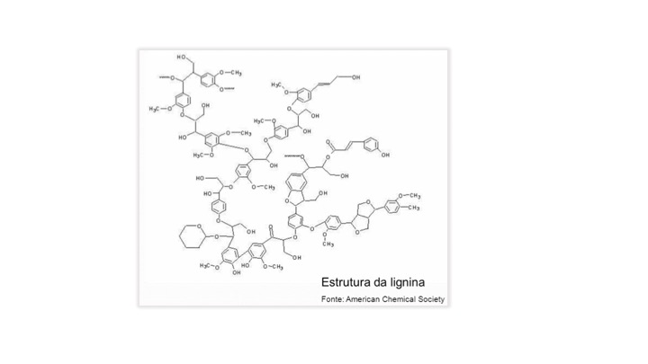 Figura 5. Estrutura da lignina, constituinte químico essencial do tronco e caules das espécies vegetais