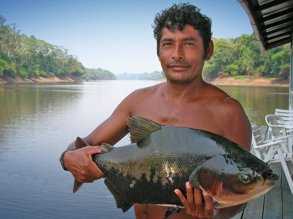 Desmatamento prejudica produção de peixes na Amazônia