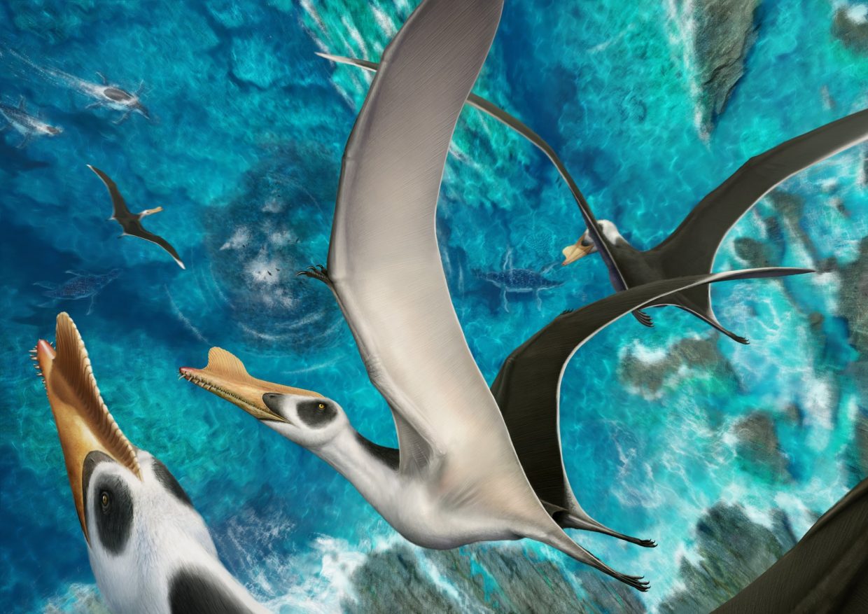 Identificado o maior pterossauro já encontrado na Península Ibérica