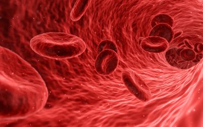 Proteína pode indicar predisposição a doenças cardiovasculares