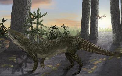 Parentes ancestrais dos crocodilos evoluíram para dieta herbívora ao menos 3 vezes