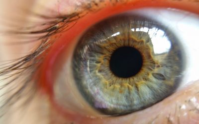 Aparelho portátil permite diagnosticar doenças oculares à distância