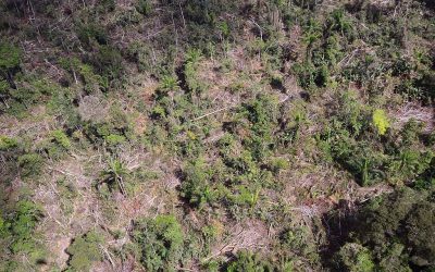 Frente aos riscos na Amazônia, Foreign Policy provoca: “Quem vai invadir o Brasil?”