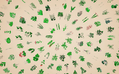 Unifesp lança vídeo sobre plantas medicinais