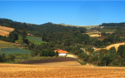 Manter vegetação nativa em propriedades rurais rende ao Brasil R$ 6 trilhões ao ano