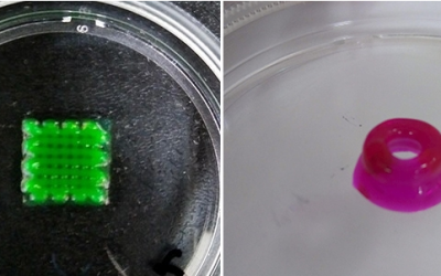 Grupo desenvolve biotinta para impressão 3D de tecido nervoso