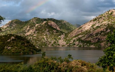 Área de conservação de entorno de lagos e represas precisa ser maior do que diz Código Florestal