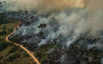 Partículas de incêndios na Amazônia podem derreter geleiras nos Andes