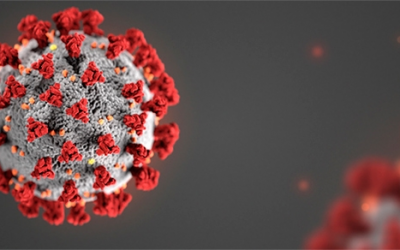 Tecnologia que sequenciou coronavírus em 48 horas permitirá monitorar epidemia em tempo real