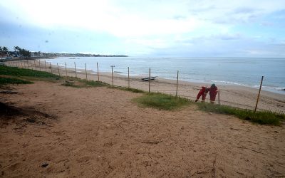 Coronavírus: o risco individual de não pensar no coletivo