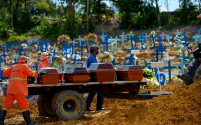 O que nos faz humanos?