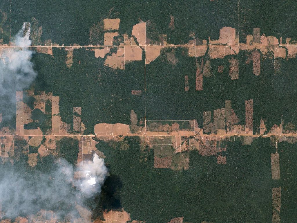 Imagem de satélite mostrando áreas de desmatamento ao lado de estradas em meio à floresta.