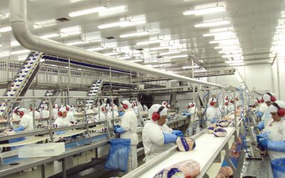 Como frigoríficos propagaram o coronavírus em pequenas cidades do país