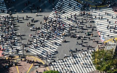 Cada rebanho escolhe sua imunidade: qual será a nossa?