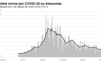 Dados do Amazonas reforçam teoria de que a imunidade coletiva ao SARS-CoV-2 pode vir antes do previsto