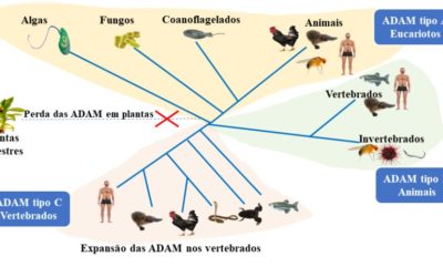 Grupo de alunos da UFBA faz “viagem genética de 2 bilhões de anos” e publica artigo na revista Genomics