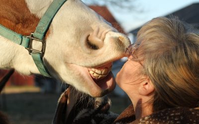 Dona Claudine a cavalo