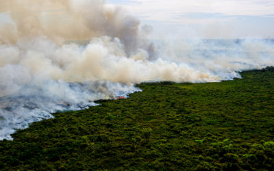 Fogo no Pantanal é favorecido por mudanças climáticas e falta de fiscalização