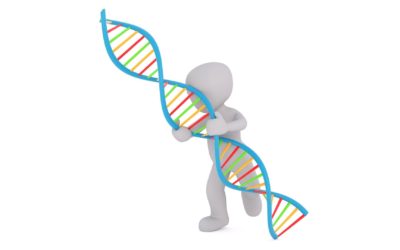 Em estudo da ‘Science’ com participação da UFMG, cientistas propõem debater edição genética com cidadãos comuns