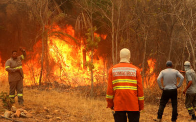 Setembro foi o mês com mais incêndios já registrados no Pantanal