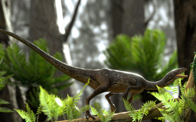 Reconstituição de crânio revela que dinossauro de 233 milhões de anos era caçador com visão aguçada