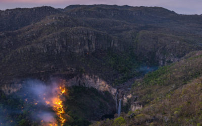 Com incêndios, cobertura vegetal do Parque Nacional dos Veadeiros diminui pela metade