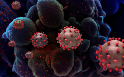 Novas linhagens do coronavírus preocupam, e medidas de prevenção seguem imprescindíveis