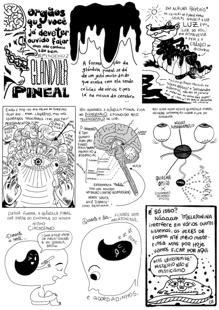 História PB em 9 requadros. 1) Na metade esquerda do quadro, perfil humano caricato com nariz e queixo grandes, boca em um sorriso sinistro e cérebro visível. Na metade direita, o título: Órgãos que você já deve ter ouvido falar, mas não conhece tão bem. Episódio 2: glândula pineal. 2) No topo do quadro, imagem abstrata de uma massa preta sobre uma massa branca, ambas escorrendo. Abaixo, texto: "A formação da glândula pineal se dá de um jeito muito doido que acaba com ela tendo células de vários tipos lá na meiuca do cérebro". 3) Jacaré deitado languidamente (de lado) ao sol, à beira d'água. Texto: "Em alguns répteis*, as células da pineal viram células sensíveis à luz, tipo a luz do sol, que atravessa a pele e o crânio do bichinho". Legenda explicando o asterisco: "O livro do Ângelo Machado diz 'alguns répteis' e 'vertebrados inferiores', não sei se jacaré é inferior, eu acho eles super! Mas é isso aí, eu queria desenhar um jacaré". 4) Lagarto um pouco antropomorfizado com cérebro gigante e terceiro olho entre os dois olhos normais.Texto: "Então é por iso que falam do terceiro olho dos... ahem... lagartos, mas nos humanos trocamos isso por ter pensamentos tipo". alões de diálogo em torno do lagarto: "quem sou eu?", "por que o céu é azul?", "o que é ética?", "o que minha mãe vai fazer comigo quando descobrir que quebrei a mesinha da sala?". 5) recorte lateral do encéfalo com legendas indicando as diferentes partes. Texto: "Nos humanos, a glândula pineal fica no diencéfalo, escondido pelo telencéfalo da luz. O cérebro é tipo quanto mais fundo mais "burro", primitivo e essencial". Setinha indicando região logo acima da medula, com a legenda "Experimenta dar uma pancada no bulbo (centro respiratória), morte súbita, você 'esquece' de respirar". 6) Desenho esquemático com os olhos, o núcleo supraquasmático, o quasma óptico ("cruzamento dos nervos ópticos") e a pineal, que libera melatonina. Texto: "Mas ainda assim nossa glândula pineal recebe informação sobre a luz do ambiente". 7) Pessoa de lado (olhando da esquerda pra direita), com uma cabeça enorme, sentada abraçando os joelhos e com os olhos quase fechados. Texto: "Dessa forma, a glândula pineal faz parte do controle do nosso ritmo circadiano. Dentro da cabeça da pessoa, um fantasma preto com um objeto na mão diz "toma esse vape de melatonina e vai dormir, bro". 8) Mesma pessoa, agora olhando no outro sentido, olhos abertos, fastasma preto dormindo e roncando na cabeça dela. Texto: "Durante o dia... Ficamos sem melatonina... E acordadinhos. 9) Texto, ocupando os a metade de cima do quadro: "É só isso? Nããão. Melatonina interfere em vários outros sistemas, às vezes de forma até meio misteriosa, mas por hoje vamos ficar por aqui". Abaixo, animal fictício, tipo um réptil com rosto no corpo, com terceiro olho e cauda longa. Ele diz: "Mas lembrem-se! Mistério não é misticismo".