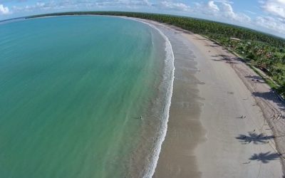 Bioação Garapuá: biotecnologia contra os efeitos das manchas de óleo no Nordeste