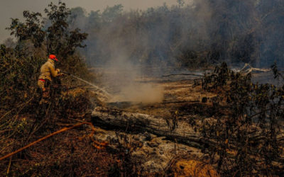 Pesquisadores identificam causas da seca extrema que afetou o Pantanal