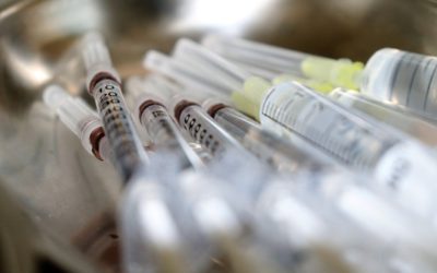 Pesquisadores explicam como funcionam as duas potenciais vacinas que deram entrada na Anvisa