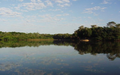 Zoneamento no “Pantanal do Araguaia” contrapõe ambientalistas e agronegócio