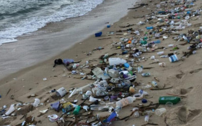 Toneladas de lixo nas praias do RN e PB preocupam especialistas e pescadores