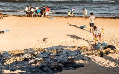 Pescadores artesanais e ambientalistas querem reabertura da CPI do Óleo