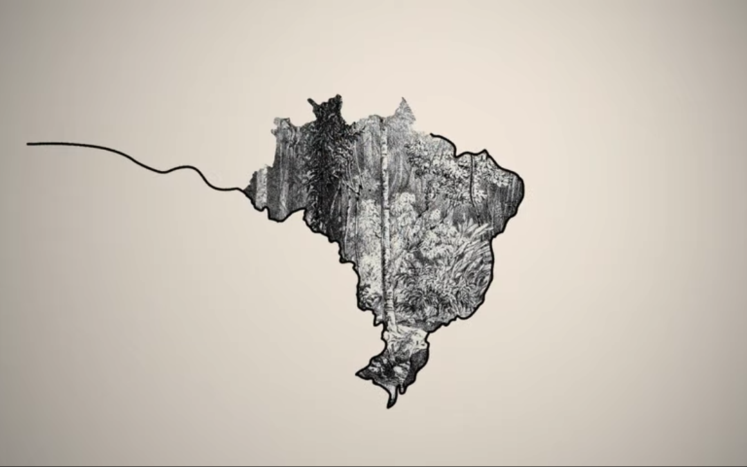 Um olhar delicado para a biodiversidade