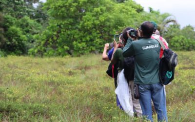 Caminhadas ecológicas promovem observação de aves na Bahia