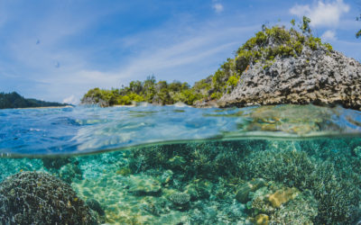 Lançado edital para formação gratuita em cultura oceânica