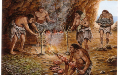 Humanos primitivos sabiam posicionar a lareira para obter mais calor e menos fumaça