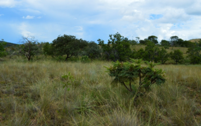 Menor inclinação do eixo da Terra provocou, no passado, o ressecamento do clima no Nordeste