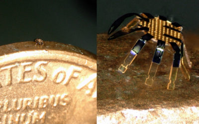 Cientistas dos EUA criam minicaranguejo robótico