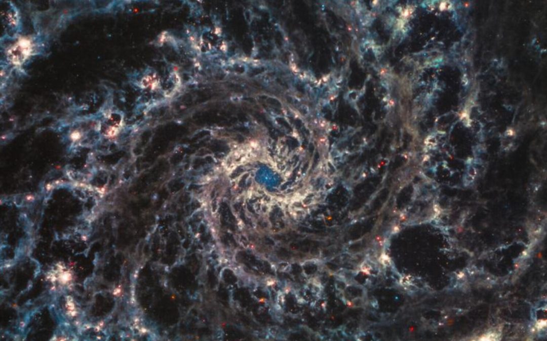 Curiosidade e indagações fazem cientistas
