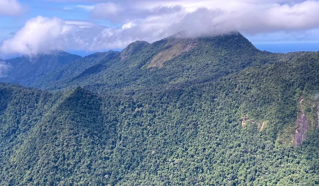 Rumo à Amazônia desconhecida