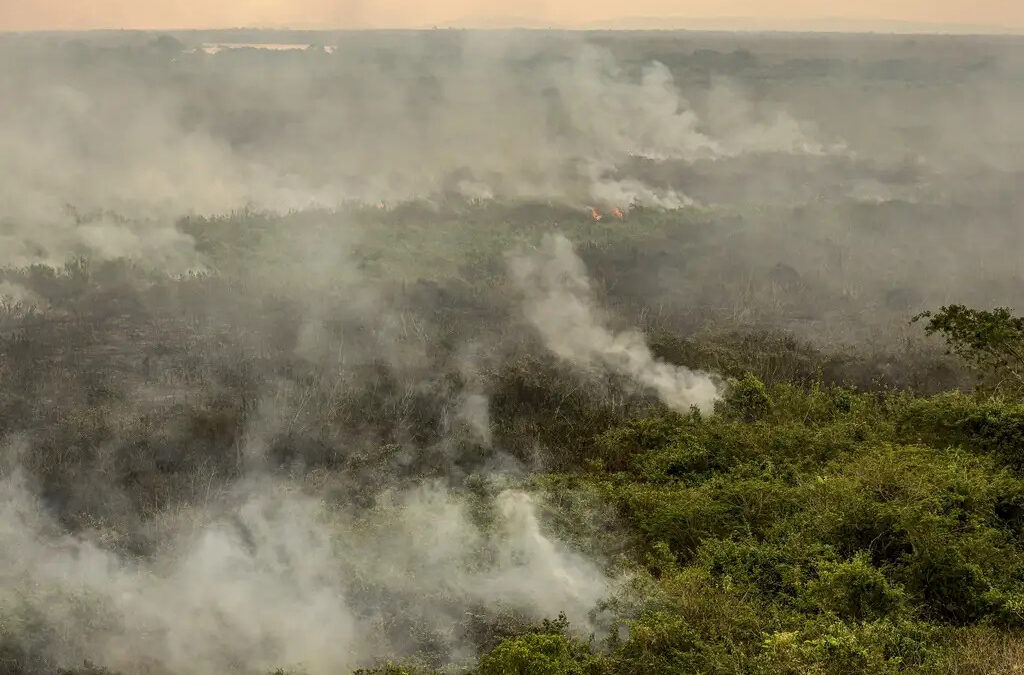Incêndios no Pantanal ameaçam áreas de restauração, com risco de uma catástrofe semelhante à de 2020