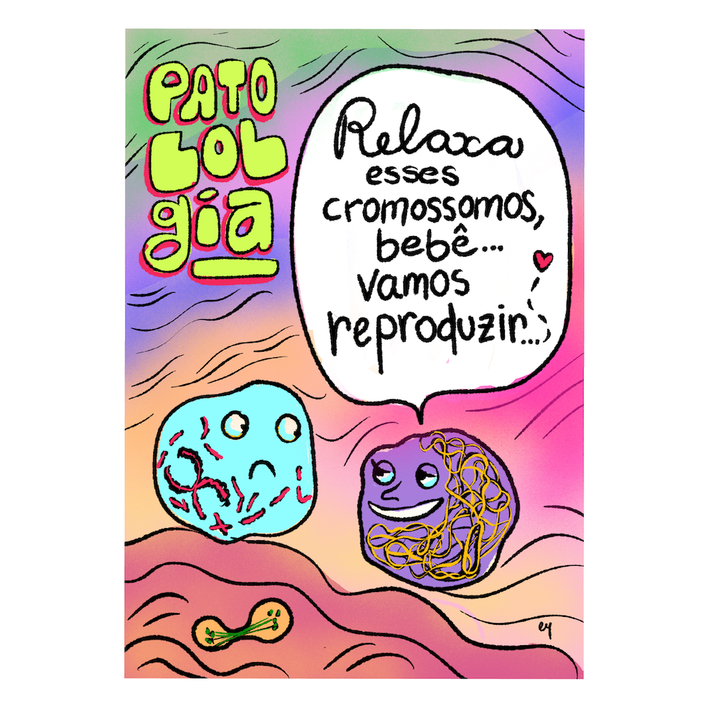 Cartum. No  topo, à esquerda, o título: PatoLOLgia. Ambiente rugoso de cores variadas — verde, lilás, laranja, rosa —, ao fundo uma célula laranja se dividindo em duas. Uma célula azul, à esquerda, com cromossomos vermelhos em seu interior olha com expressão séria para uma célula roxa, à direita, com uma enorme fita laranja de DNA enrolada em seu interior; a célula roxa olha languidamente e diz: “Relaxa esses cromossomos, bebê… Vamos reproduzir…❤️).