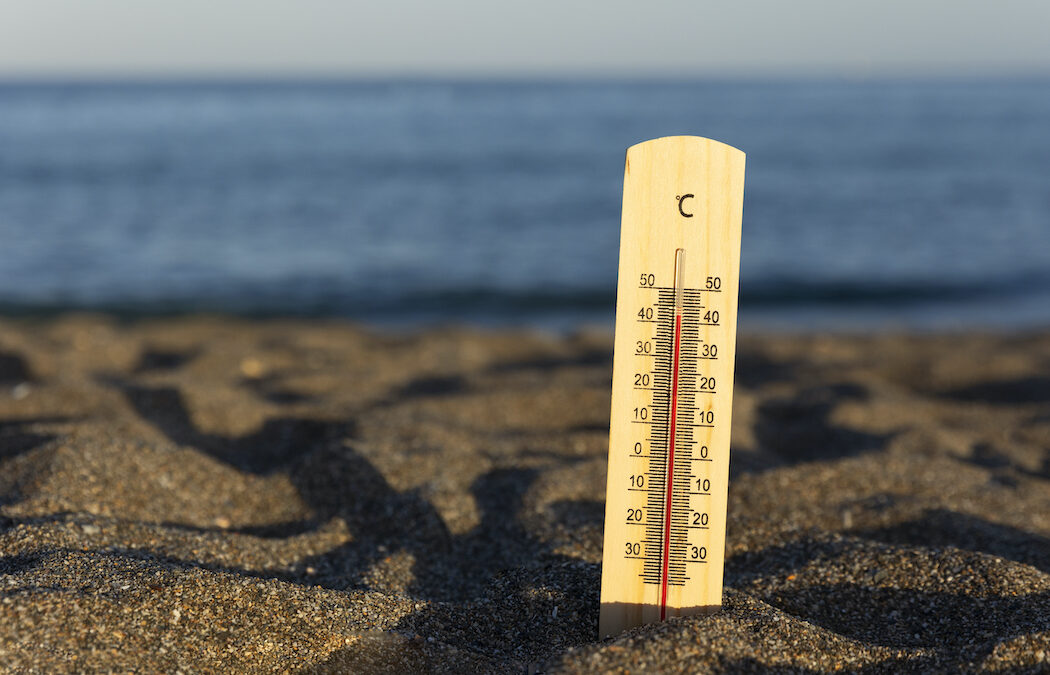 Mais de 70% dos sinais vitais da Terra estão em estado crítico por mudanças climáticas, alerta pesquisa