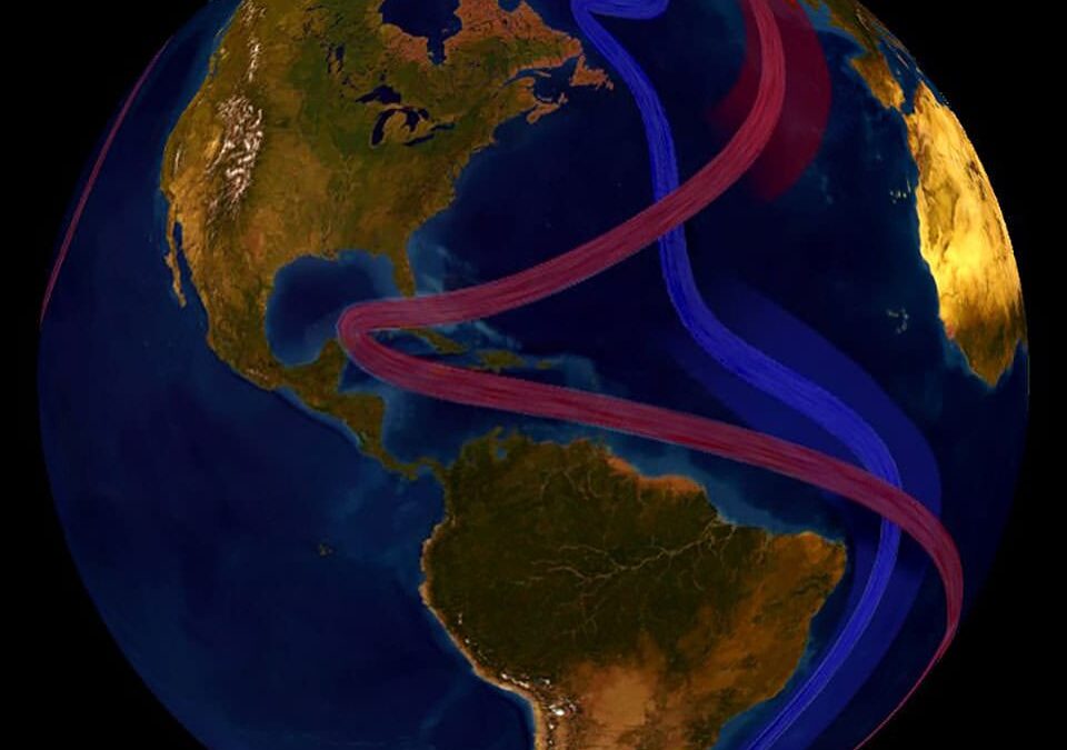 Quebra da circulação do Atlântico aumentaria risco de colapso da Amazônia, alerta estudo