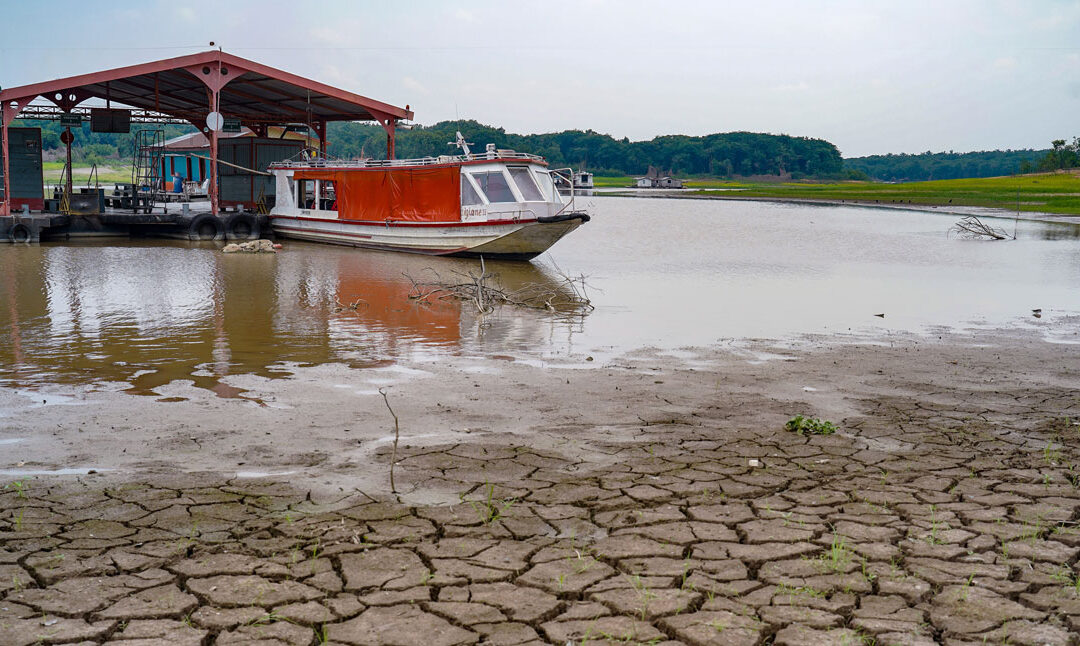 Esgotamento dos aquíferos ameaça florestas e rios