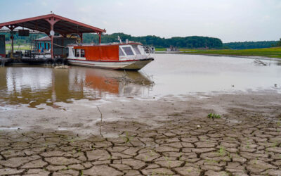 Esgotamento dos aquíferos ameaça florestas e rios