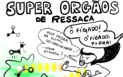 HQ de Cynthia Bonacossa — 14/02/2025