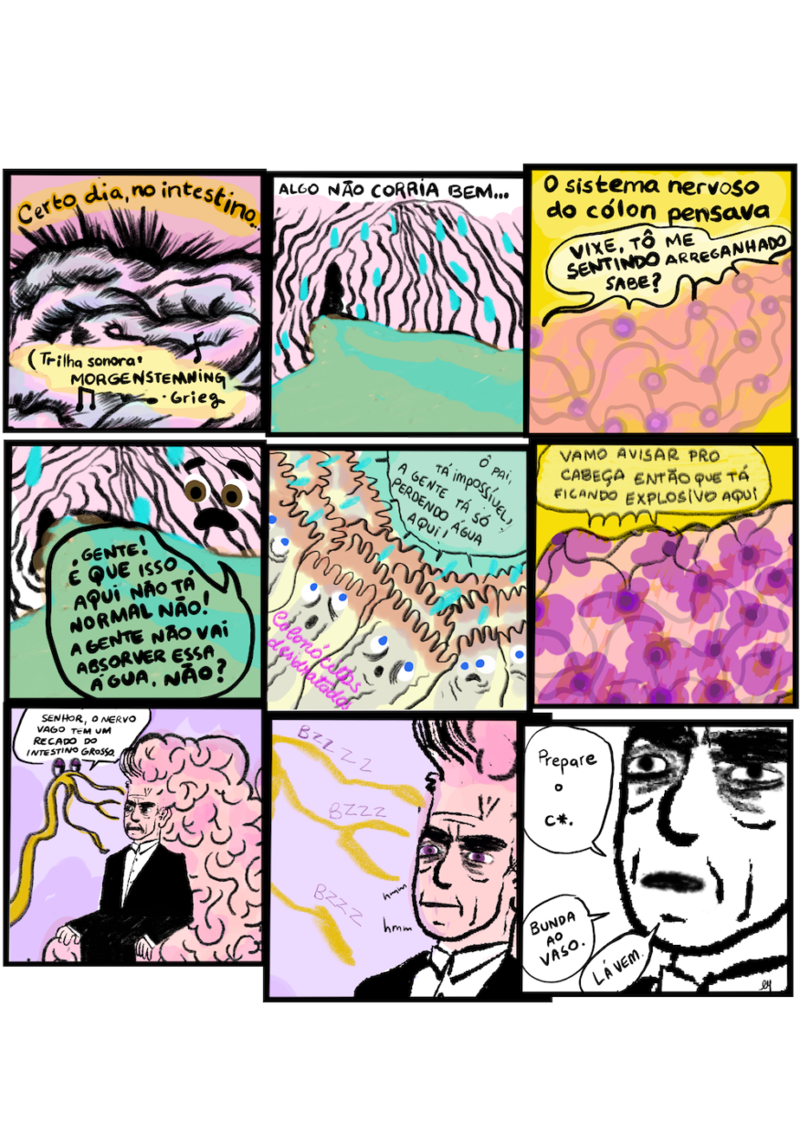 História em 9 requadros, 3x3. 1) O fundo do quadro é rosa, e no topo da imagem há uma narração: “Certo dia, no intestino…”. Apresenta-se a imagem de um intestino nas cores rosa e azul, contornado em preto. A composição sugere grande excitação. Na parte inferior da imagem, entre parênteses está escrito: “(Trilha sonora: Morgenstening-Grieg)” e ao seu redor há uma colcheia agrupada e uma colcheia simples desenhadas. 2) No topo da imagem a narração continua: “algo não corria bem…”. O quadro apresenta o interior do intestino parecendo um túnel cor-de-rosa com paredes internas enrugadas e uma região preta no ponto de fuga. Nas paredes, gotas de água escorrem, formando um corpo d’água que se encaminha no chão. 3) O fundo do quadro é amarelo. No topo da imagem está escrito: “O sistema nervoso do cólon pensava”. O desenho do sistema nervoso é feito com várias bolinhas roxas interligadas entre si por fios rosa. Cinco dessas bolinhas roxas dizem: “Vixe, tô me sentindo arreganhado, sabe?” 4) Novamente a imagem é do interior do intestino, como no segundo requadro, mas agora há olhos, sobrancelhas e uma boca desenhada na parede, expressando susto ao observar a água que corre no chão. O intestino diz: “Gente! É que isso aqui não tá normal não! A gente não vai absorver essa água, não?” 5) No canto inferior esquerdo está escrito “Colonócitos desidratados” para indicar o que está desenhado. Os colonócitos são retângulos irregulares amarelos claros com pilosidades marrons no topo e estão agrupados, inclinados para a direita. Eles têm rosto, expressam sofrimento e dizem: “Ô pai, tá impossível, a gente tá só perdendo água aqui!”. 6) Mais uma vez aparece o sistema nervoso do cólon, dessa vez, com o desenho um pouco diferente, as bolinhas estão pintadas de roxo dentro da sua circunferência e um pouco fora também. Elas dizem: “Vamo avisar pro Cabeça então que tá ficando explosivo aqui”. 7) O fundo do quadro é lilás. O Cabeça é um homem de sobrancelhas grossas, rosto enrugado, usa terno e possui um cérebro que cai pelo seu corpo como uma grande cabeleira. Ele parece escutar o nervo amarelo, que tem apenas dois olhos, dizer: “Senhor, o nervo vago tem um recado do intestino grosso”. 8) O quadro apresenta o rosto do Cabeça ao lado direito e é possível identificar que a íris do seu olho é roxa. Ele expressa que está prestando atenção, ao redor do seu rosto está escrito “hmm” duas vezes. À esquerda do quadro estão as ramificações do nervo amarelo de forma ampliada e, perto de cada uma está escrito “Bzzz”. 9) O quadro está sem coloração, o fundo é branco e os desenhos são em preto. O rosto do Cabeça está mais próximo e há 3 balões de diálogo indicando suas falas. O primeiro diz: “Prepare o c*”. O segundo: “Bunda ao vaso”. O último: “Lá vem”. 